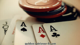 Pembahasan Seputar Poker Online